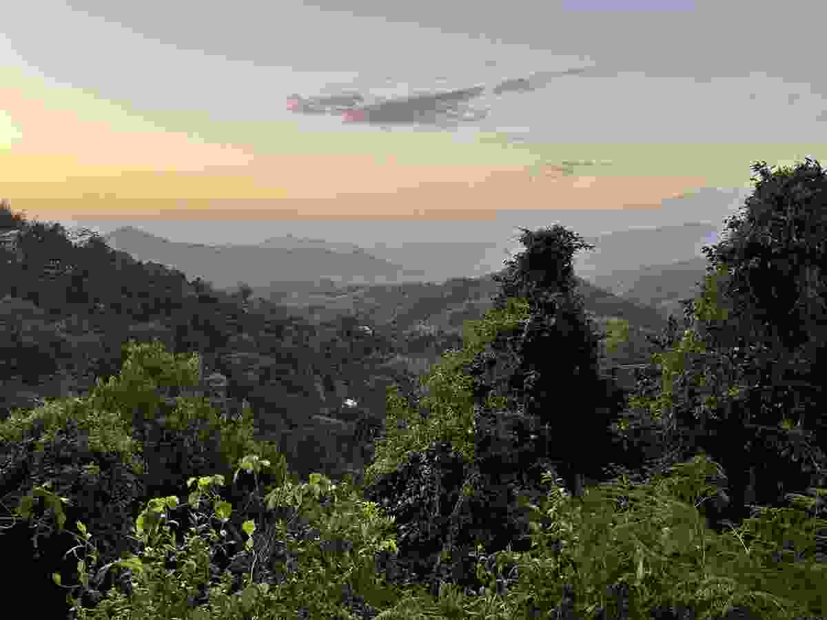 The lush tropical forests of the Sierra Nevada de Santa Marta in northern Colombia is a haven for bird watchers with more than 600 species of birds.