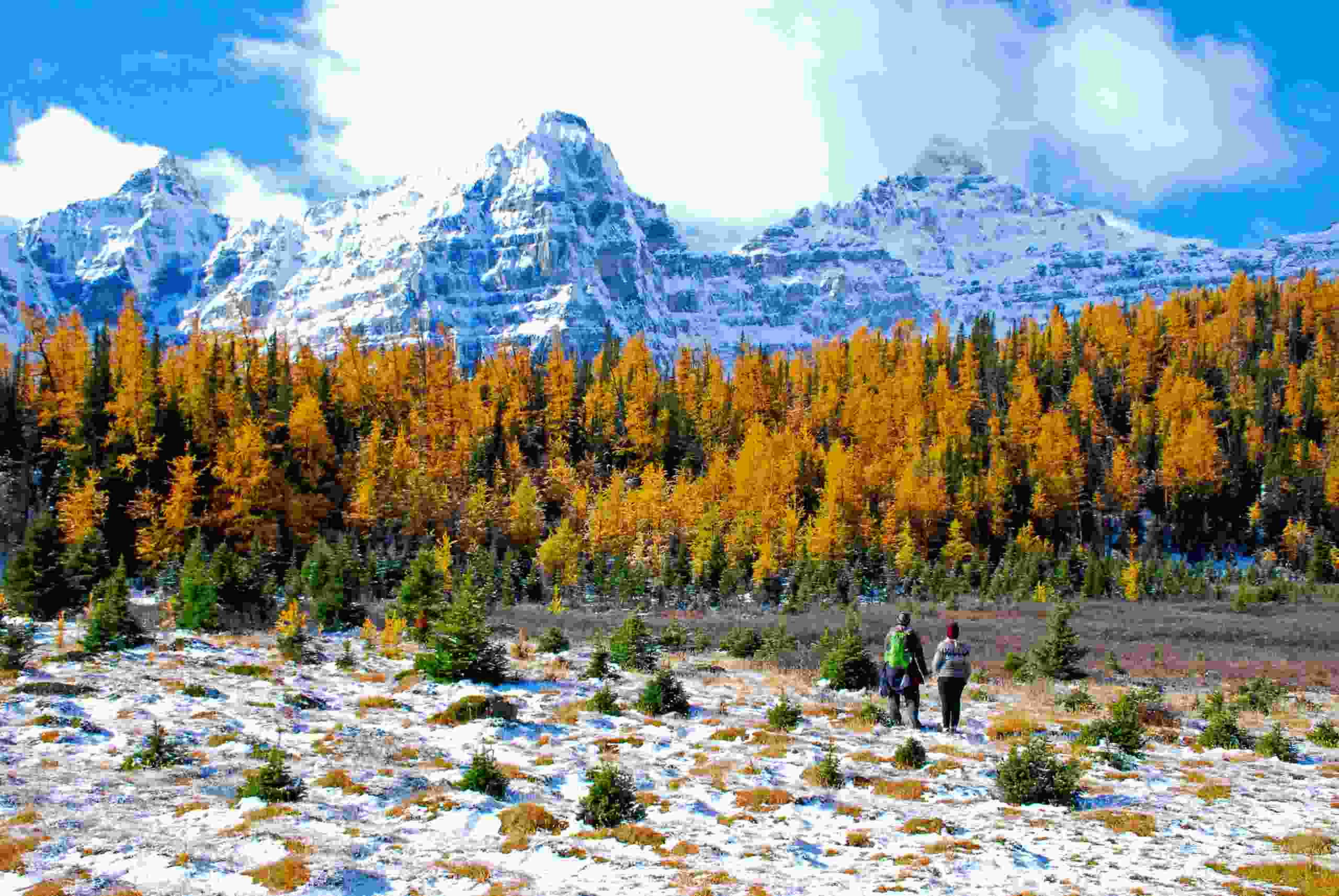 Two hikers in the Larch Valley in Banff National Park, Alberta, Canada.