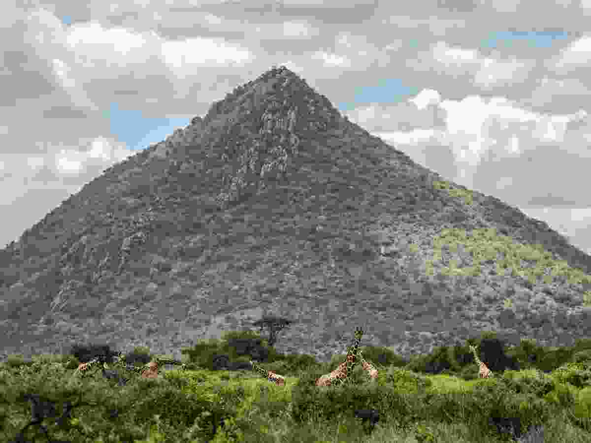 Kenya's Samburu National Reserve debuts at No. 1 on Intrepid Travel's annual Not Hot List.