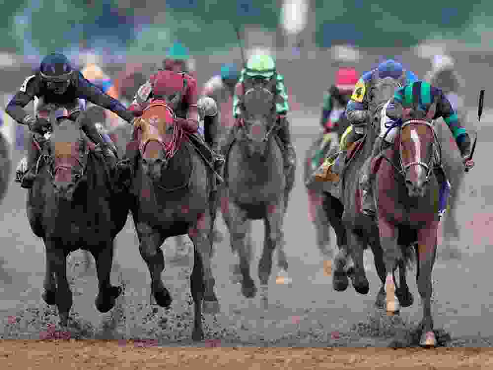 Mystik Dan, ridden by jockey Brian J. Hernandez Jr