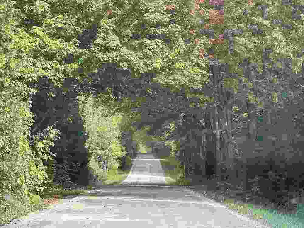 Exploring the rural sideroads is a must-do in Huron County. IAN SHANTZ/TORONTO SUN