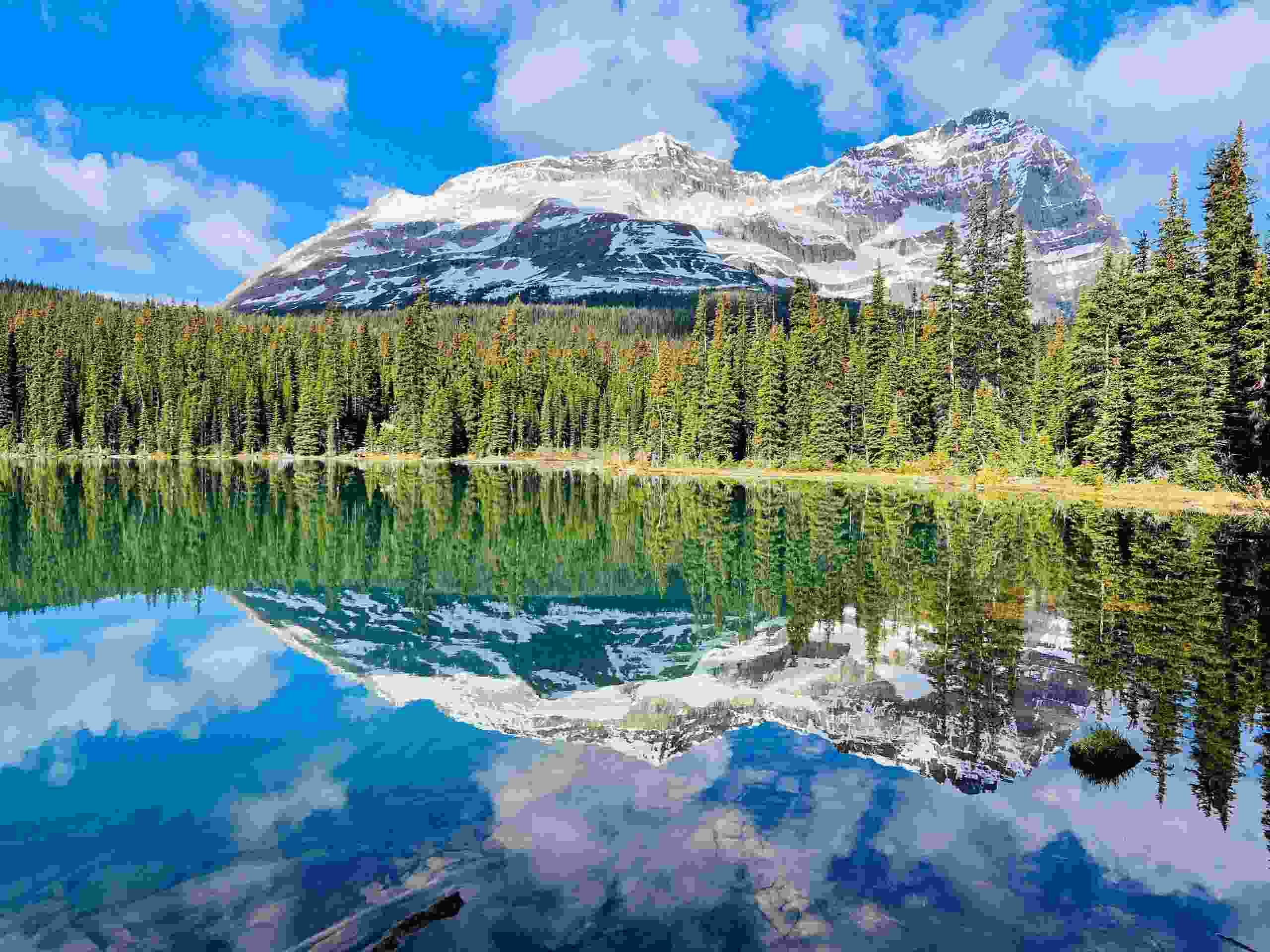 There isn't a bad view of Lake O'Hara — especially on a sunny day.