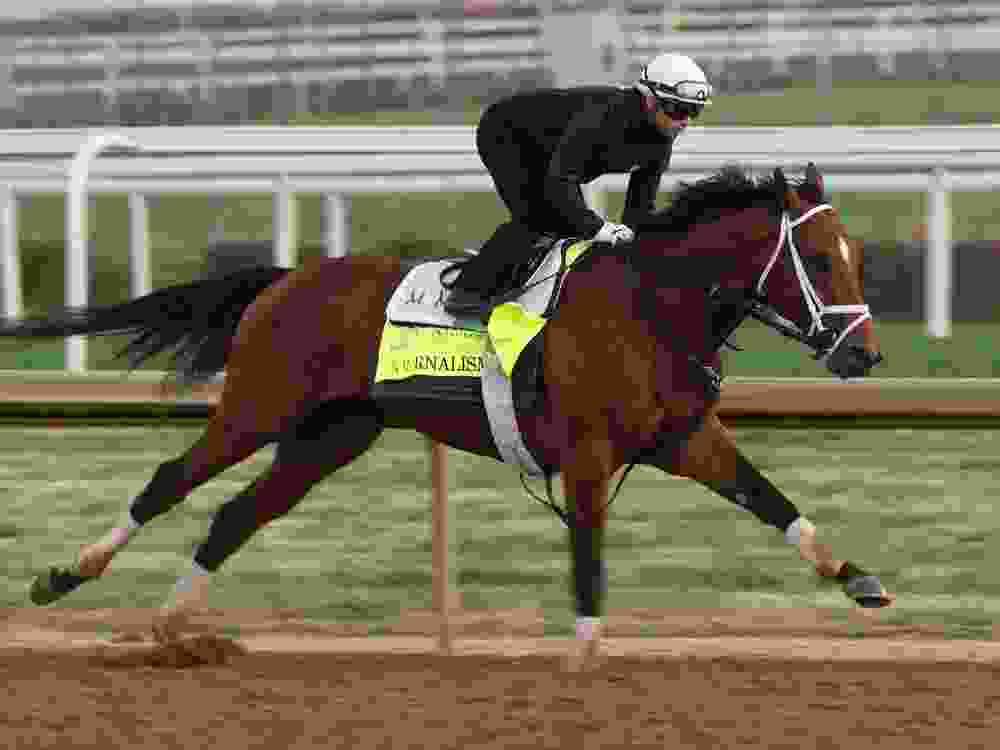 Journalism runs on the track during the morning training in preparation for the 151th Kentucky Derby at Churchill Downs on April 25, 2025 in Louisville, Kentucky.