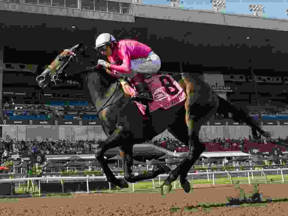 Jockey John Velazuez guides No Time to victory