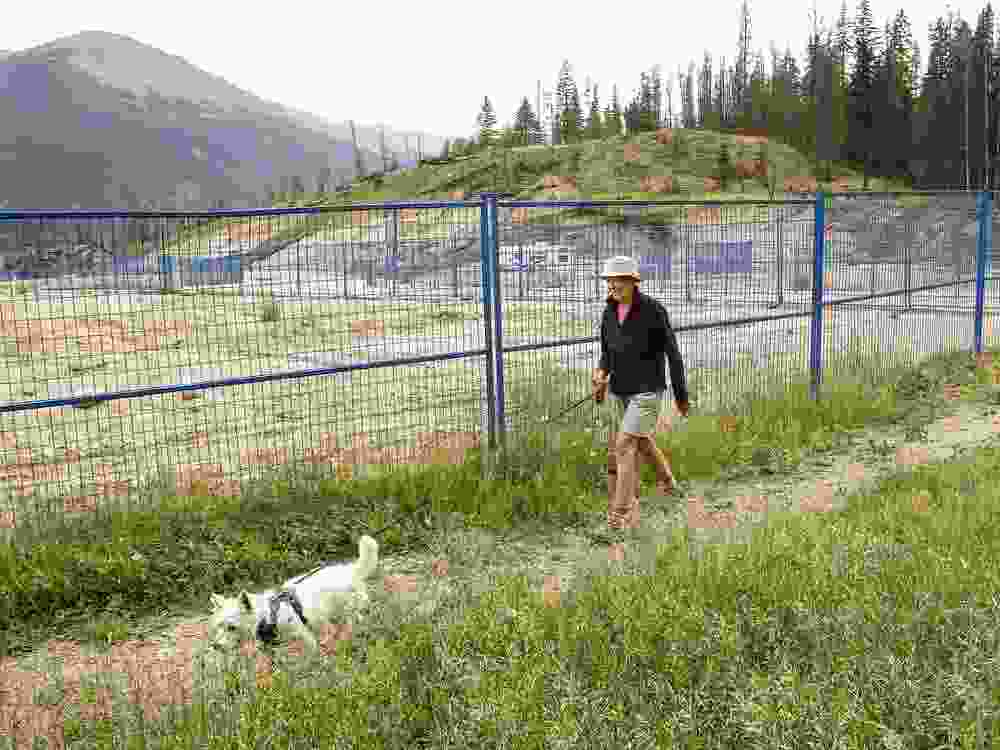 Sheila Couture walks her dog Finnegan beside the Cabin Creek neighbourhood that was destroyed by the 2024 Jasper wildfire, Wednesday, July 16, 2025. Couture's home was spared, but one of her daughters lost her family home in the wildfire.