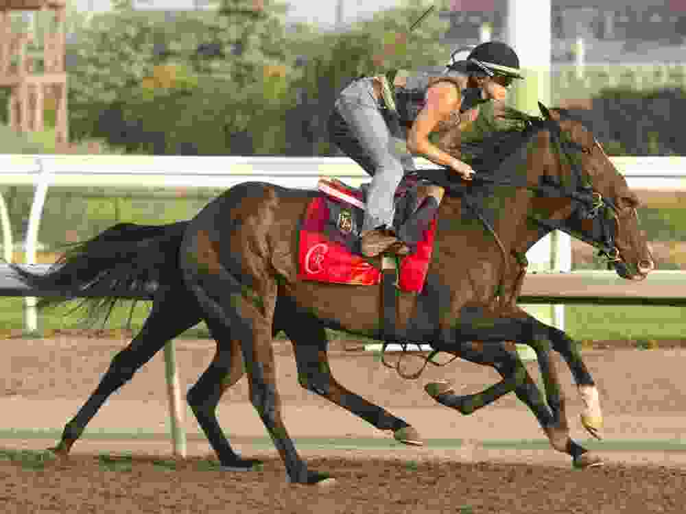 King's Plate favourite No Time trains ahead of Saturday's race.