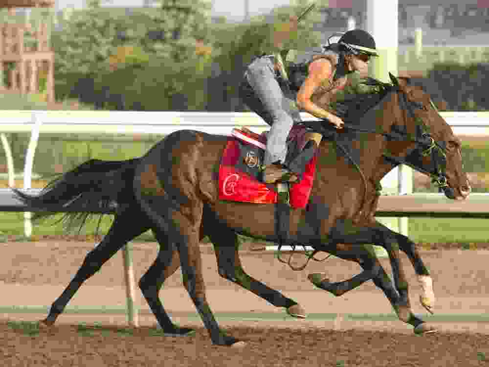 King's Plate favourite No Time runs during a training session this week.