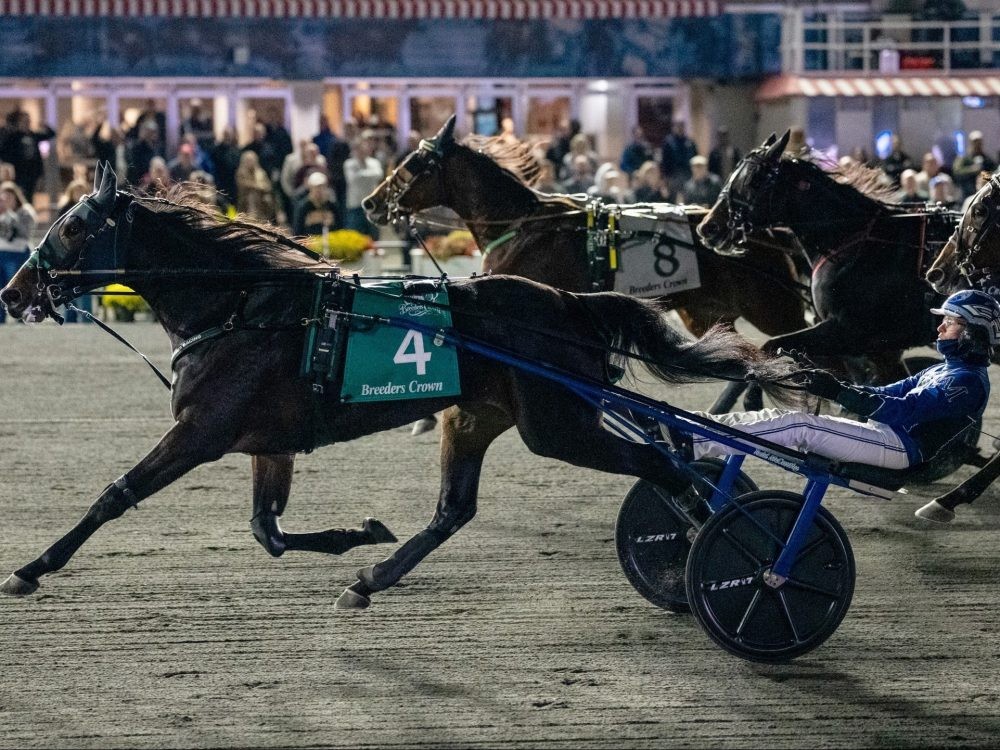 Yo Tillie wins the 3 year old fillies trot