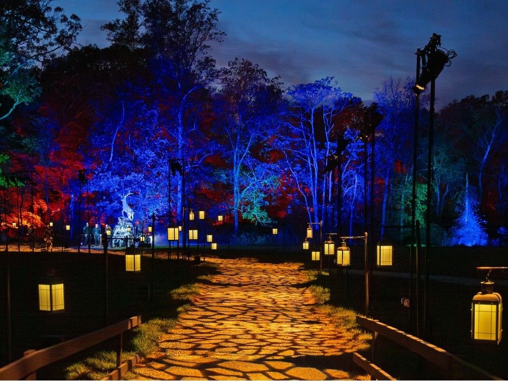 An illuminated trail transforms Stanley Park for Harry Potter: A Forbidden Forest Experience, on until February 2026. Photo: Harry Potter: A Forbidden Forest Experience