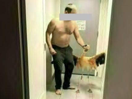 Surveillance footage that police say shows Michael Fairbarn returning to a hotel room with a flamingo stolen from a Las Vegas hotel's bird habitat.