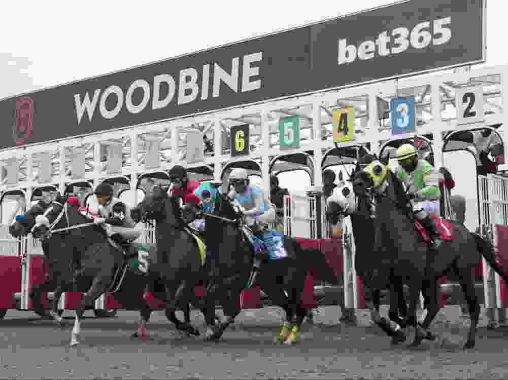 Starting gate opens for first race at Woodbine