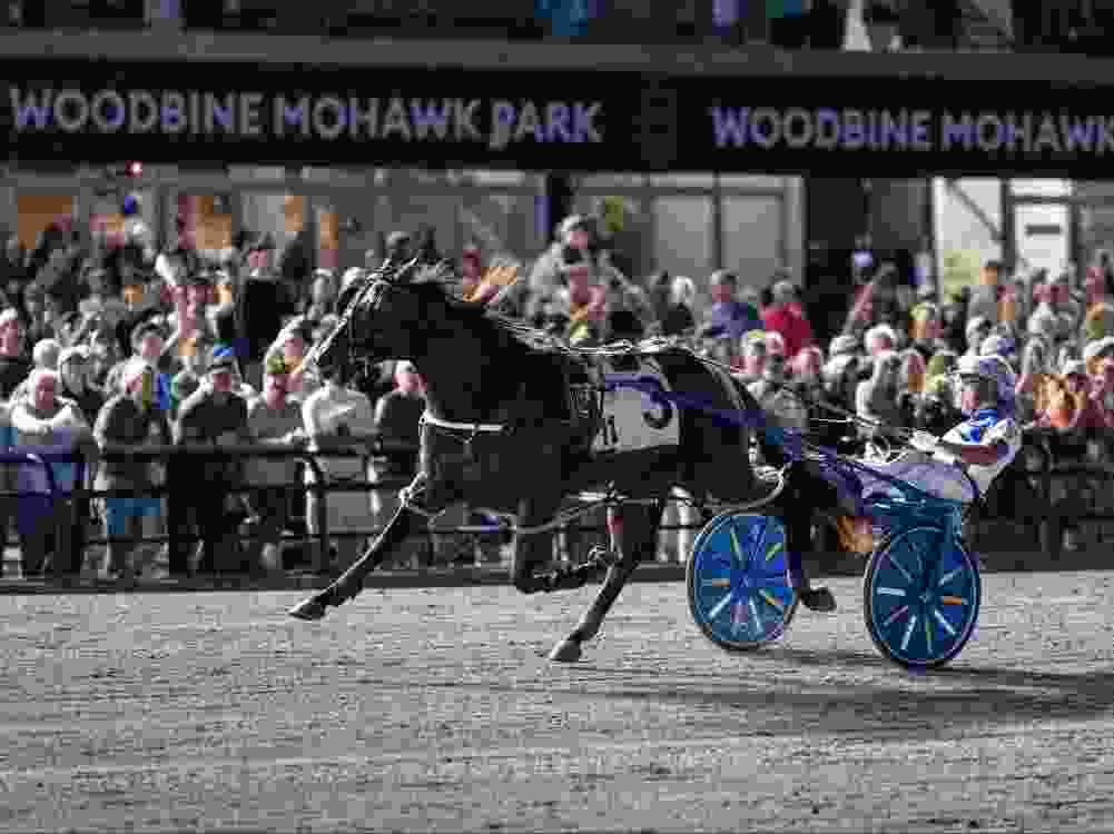 Odds On Mr Mamba wins North America Cup.