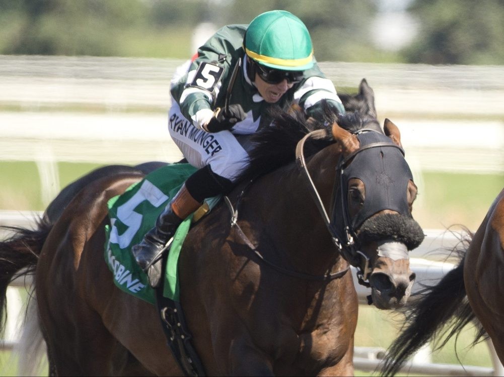 Jockey Ryan Munger guides Brachetto to victory
