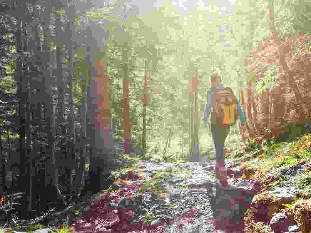 Woman hiking in the forest