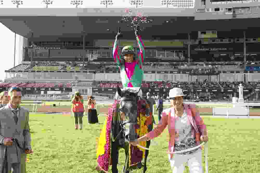 Jockey John Velazquez guides Luster to victory