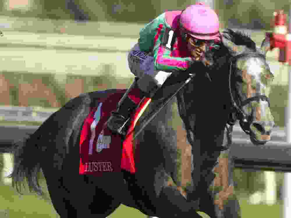 Hall-of-fame jockey John Velazquez rides Luster to victory at the King's Plate in Toronto, Saturday, Aug. 15, 2026.