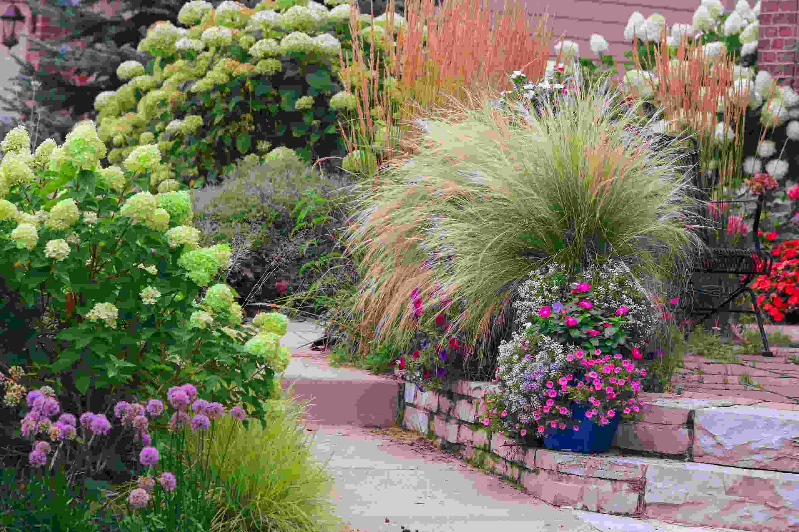 Sprucing up garden