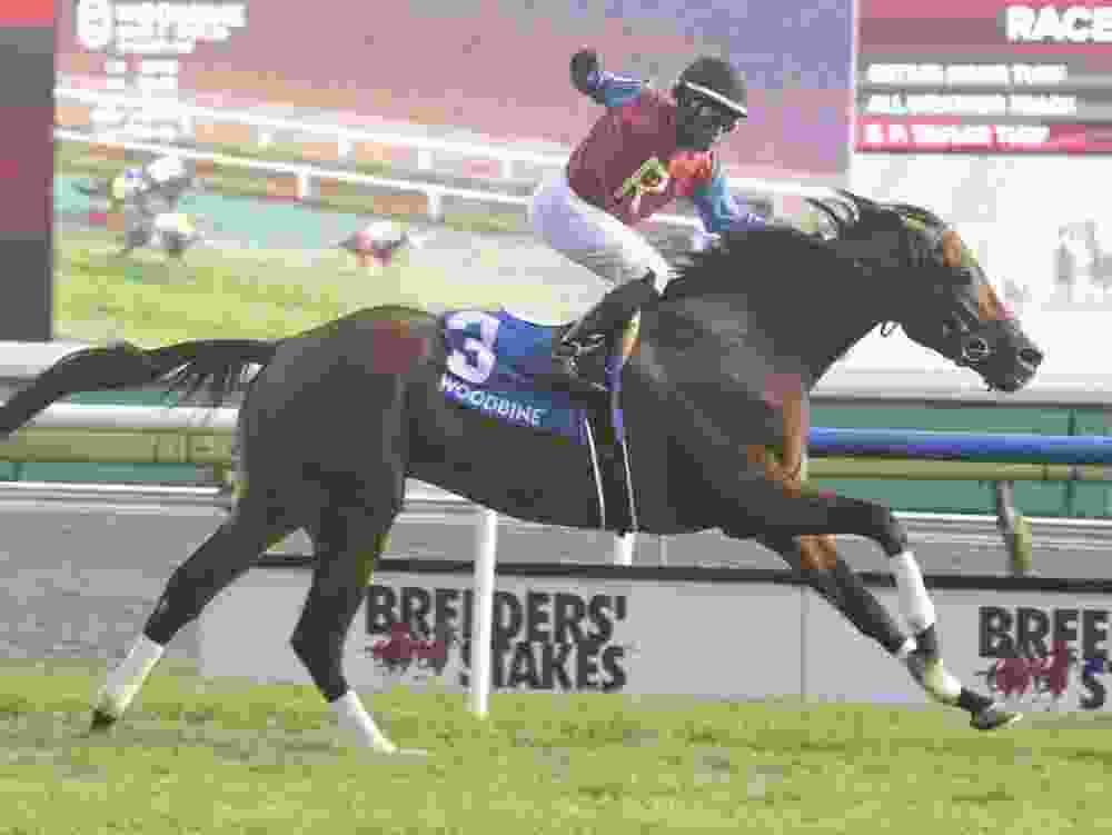 Jockey Jalon Samuel guides Fire and Wine to Breeders' Stakes victory.