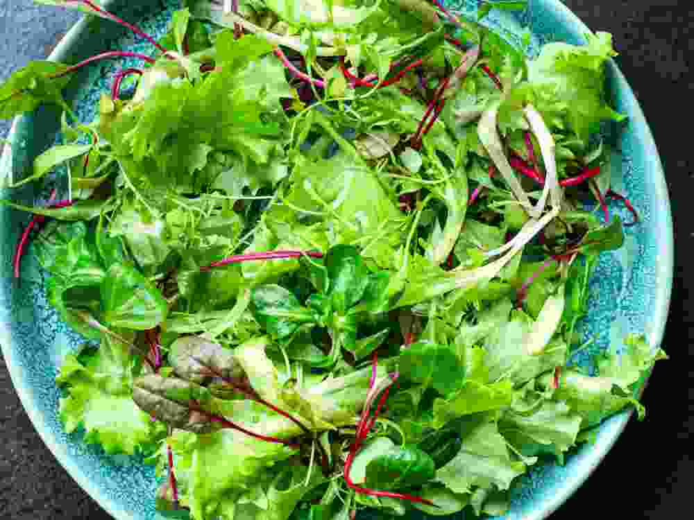 green salad lettuce mix juicy microgreen snack ready to eat on the table healthy meal snack top view copy space for text food background rustic