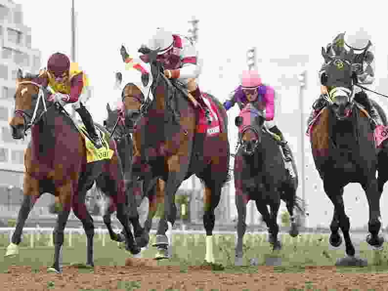 woodbine visions
