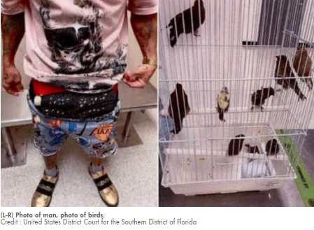 Alleged bird smuggler