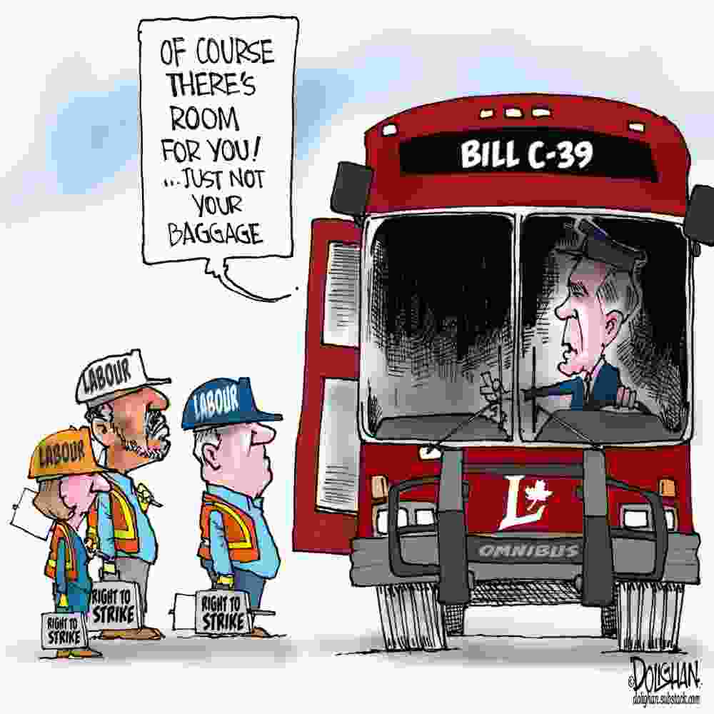 Tim Dolighan cartoon.