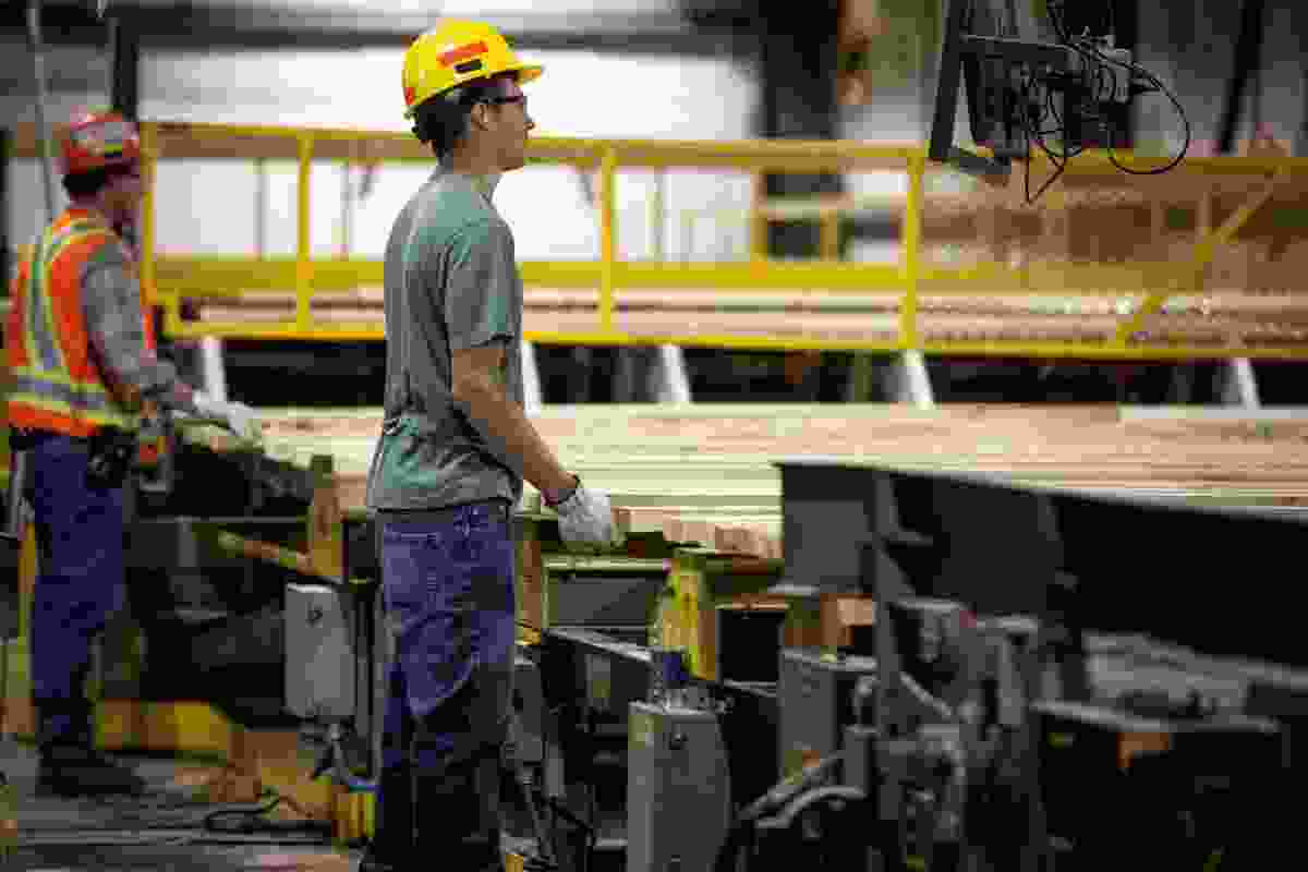 Employees inspect lumber passing down their high speed trim line at the West Fraser Blue Ridge Lumber mill on Friday, Sept. 12, 2014, near Whitecourt, Alta. 
